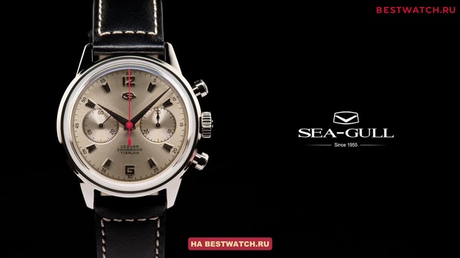 Seagull 819.17.D304