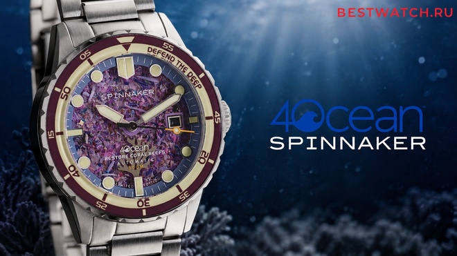 Spinnaker SP-5172-44