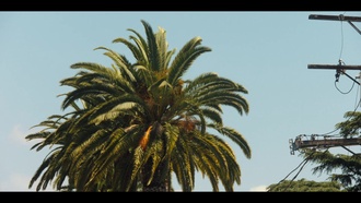 Никто этого не хочет S02E08