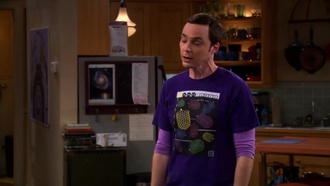 The.Big.Bang.Theory.S04E17