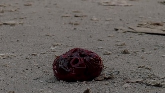 Ходячие мертвецы S03E04