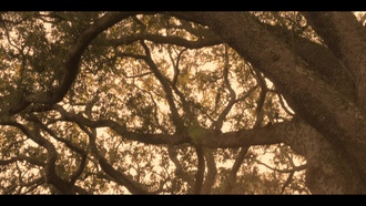 Внешние отмели S01E07