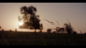 Подноготная RHS S01E07