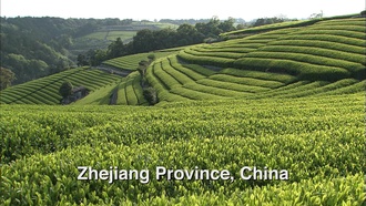 Трудности ассимиляции S05E02