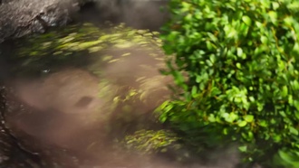 I.Am.Groot.S01E04_RHS