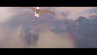 Очи Ваканды RHS S01E01