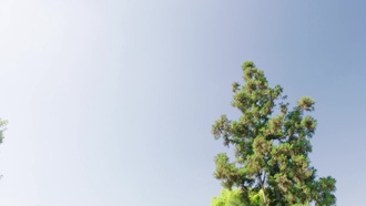 Просто нет слов S03E01