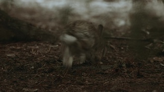 Засланец из космоса s02e10