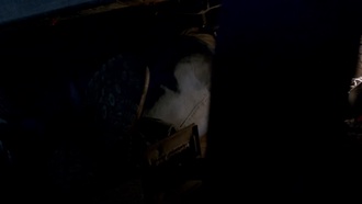 Supernatural S08E06