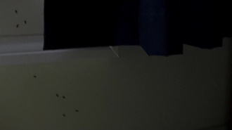 Ходячие мертвецы S06E08