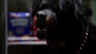 Smallville.S04E14.Krypto