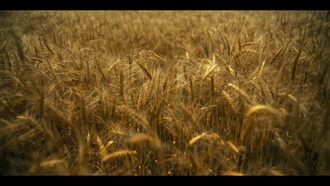 Академия «Амбрелла» S03E08