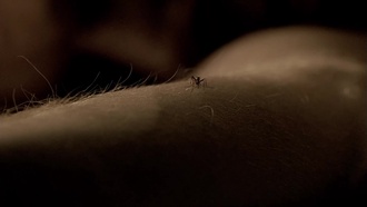 Dexter S02E06
