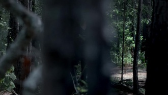 Дневники вампира S04E02
