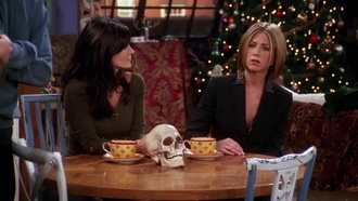 Friends.S07E10.The.One.With.the.Holiday.Armadillo