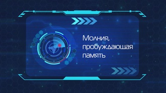 Дикие Cкричеры! S04E07