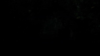Supernatural S14E05