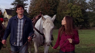 Smallville.S07E07.Wrath