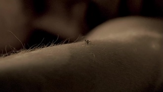 Dexter S01E05