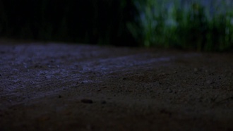 Supernatural S08E03