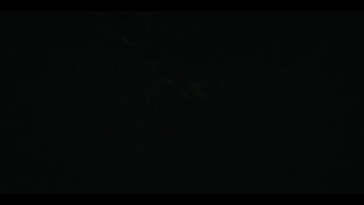 Банды Лондона 02x04