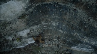 Сын S01E09