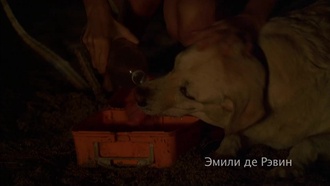 Остаться в живых S02E06