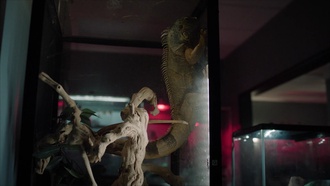 Большой потенциал S01E05