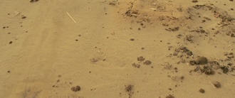 Fallout S01E04