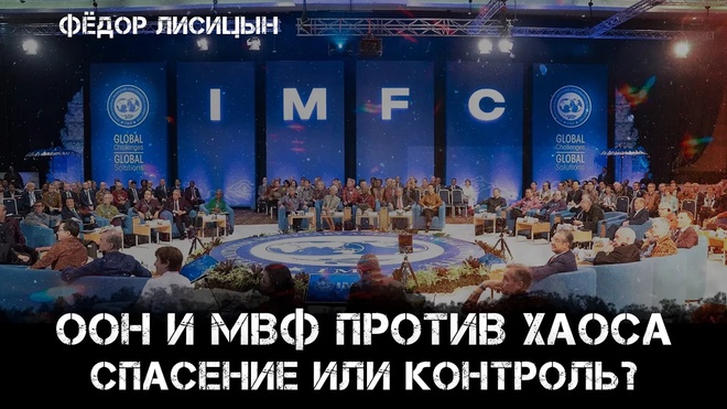 ООН и МВФ против хаоса: спасение или контроль? | Фёдор Лисицын