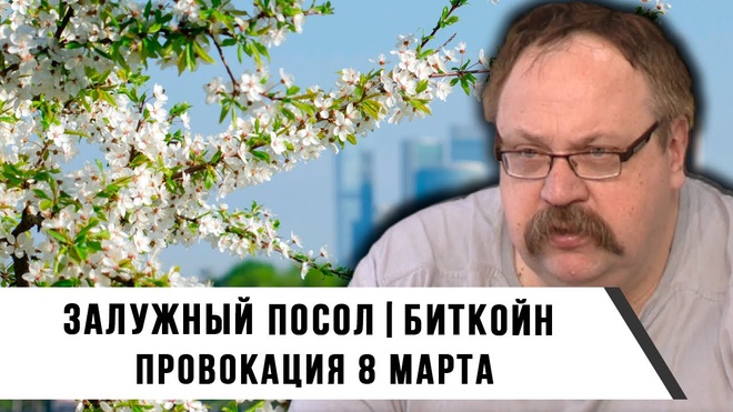 Залужный Посол | Биткойн | Провокации 8 марта | Фёдор Лисицын и Иван Мизеров