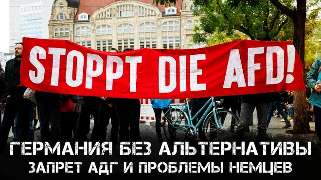 Германия без альтернативы: Запрет "АДГ" и проблемы немцев. Анализ ситуации | Виталий Волков
