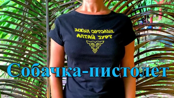 Урок 11. Упражнение «Собачка-пистолет»