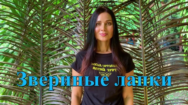 Урок 13. Упражнение «Звериные лапки»