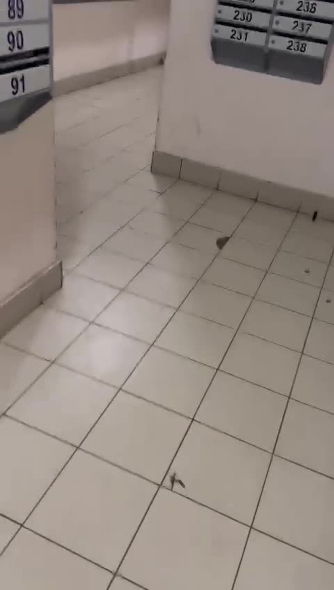 2-комн., 60 м², 5/24 этаж